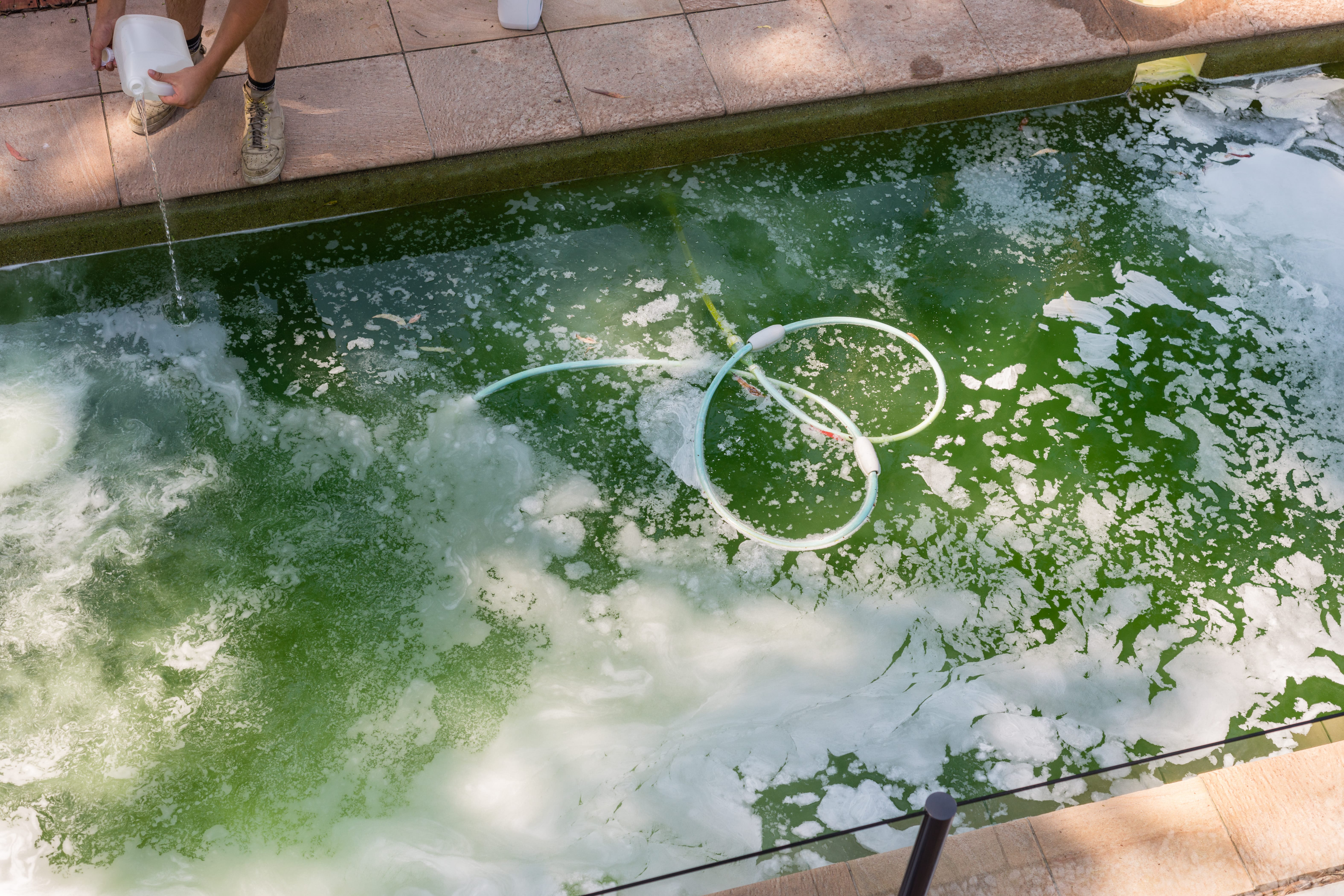 How to Clean a Green Swimming Pool Fast Granite Bay, California